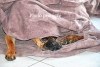 April_1065