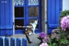 April_0180