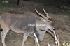 April_0976