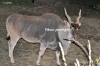 April_0977