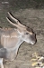 April_0978