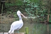 April_0495