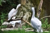 April_0843