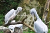 April_0845