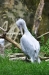 April_0846