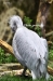 April_0847