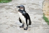 April_0770