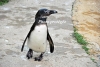 April_0771