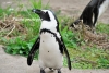 April_0772