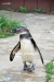April_0774