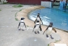 April_0775
