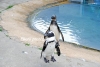 April_0776