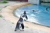April_0777