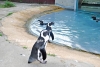 April_0778