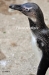 April_0872