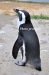 April_0873