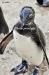 April_0874