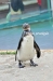 April_0875