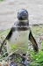 April_0877