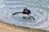 April_0878