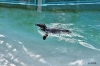 April_0880