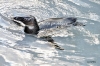 April_0881