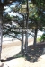 April_0078