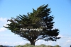 April_0080