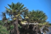 April_0464