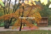 April_0502