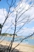 April_0531
