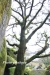 April_0570