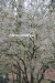 April_0572