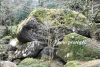 April_0581
