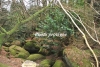 April_0583