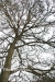 April_0604