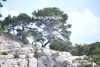 April_0629
