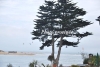 April_0691