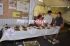 SP1_FH12_0392
