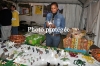 SP1_FH12_0421