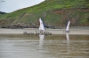 SP1_CV13_0375